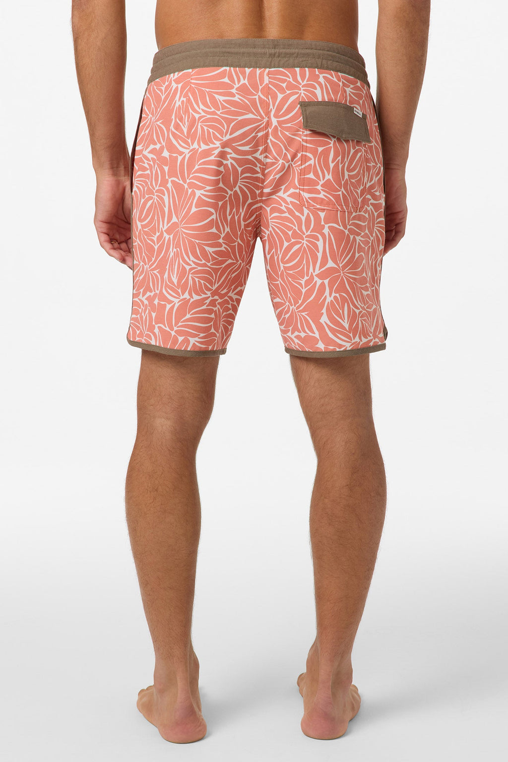 Cruzer Scallop 18" Boardshorts