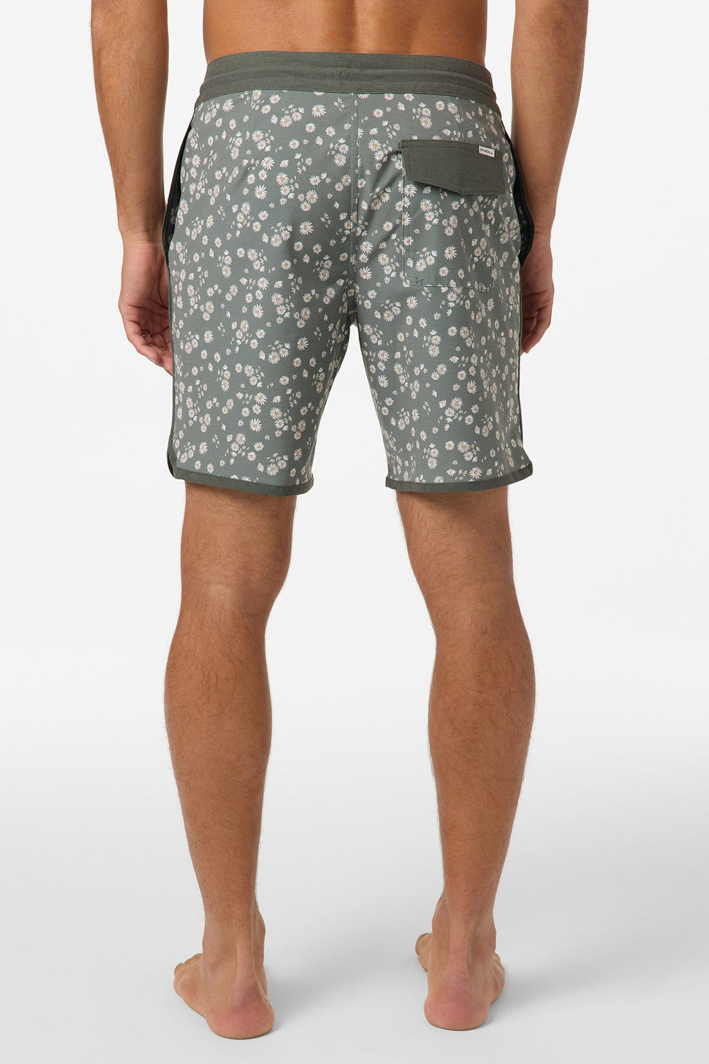 Cruzer Scallop 18" Boardshorts